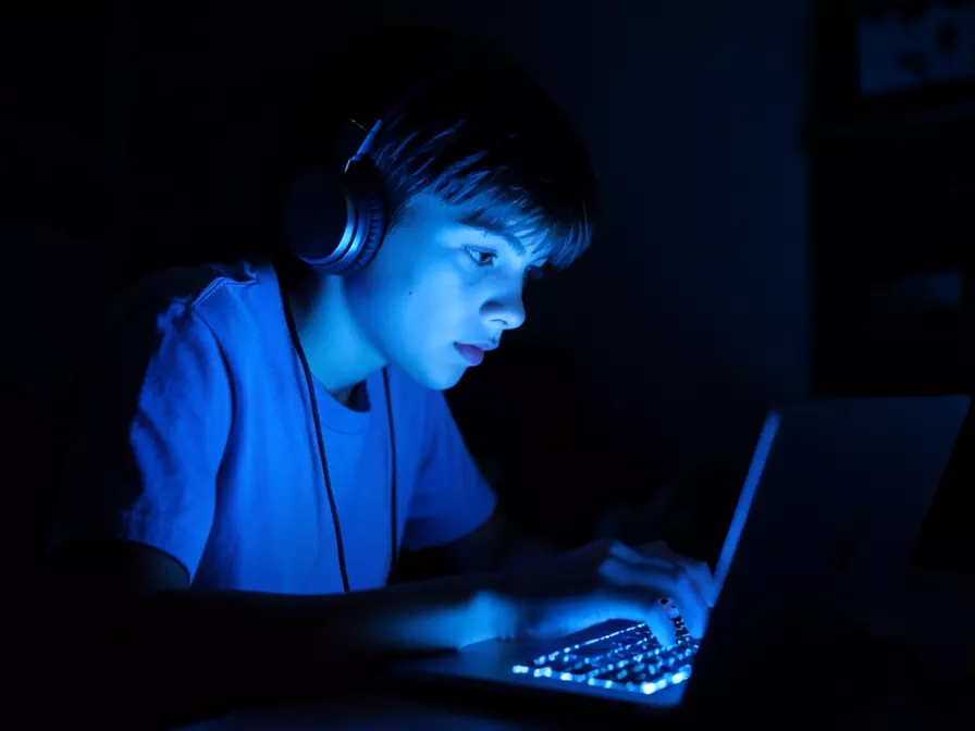 Цифровые профессии со 100% компенсацией от государства: проект «Содействие занятости»